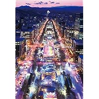 Amazon | エポック社 300ピース ジグソーパズル 日本風景 金閣寺-京都